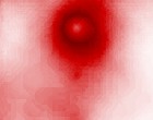 grausam bilder