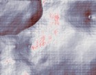 frau folter grausam