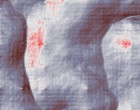 grausam bilder.de