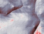 schockierende horror bild usa