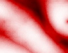 the rocky horror picture show site www.dvdothek.com