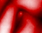 horror movie poster
