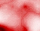 grausam bilder