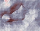 das leben ist grausam