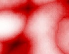 schreckliche bilder